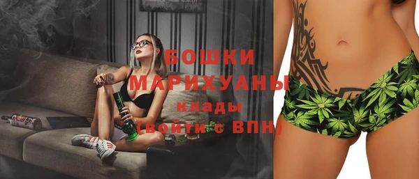 первитин Каменка