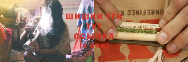 крисы Карпинск