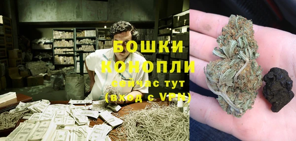 первитин Каменка