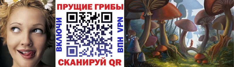 Галлюциногенные грибы Magic Shrooms  Купить  Гусь-Хрустальный 
